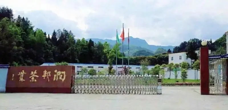 武昌富硒茶玉露厂家（恩施玉露富硒茶多少钱）-硒宝网