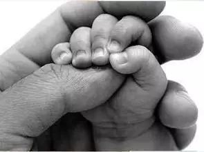 微量元素五项（微量元素缺乏会出现什么症状）-硒宝网