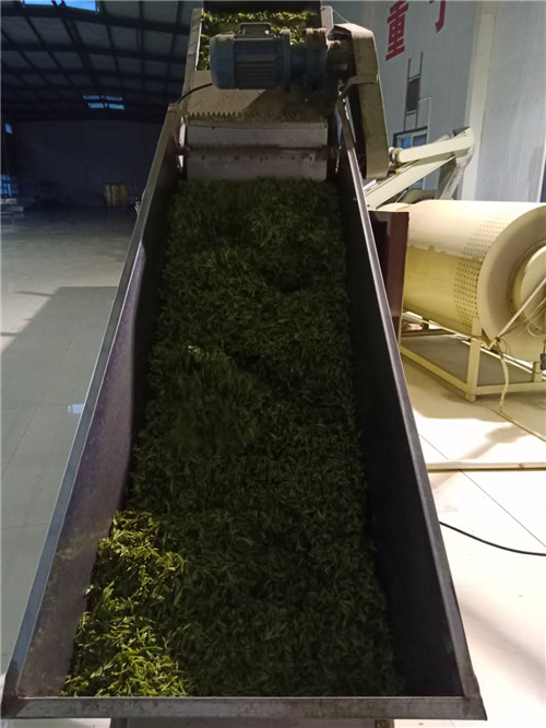 平昌富硒茶发展概况(平昌茶叶基地合作社)-硒宝网