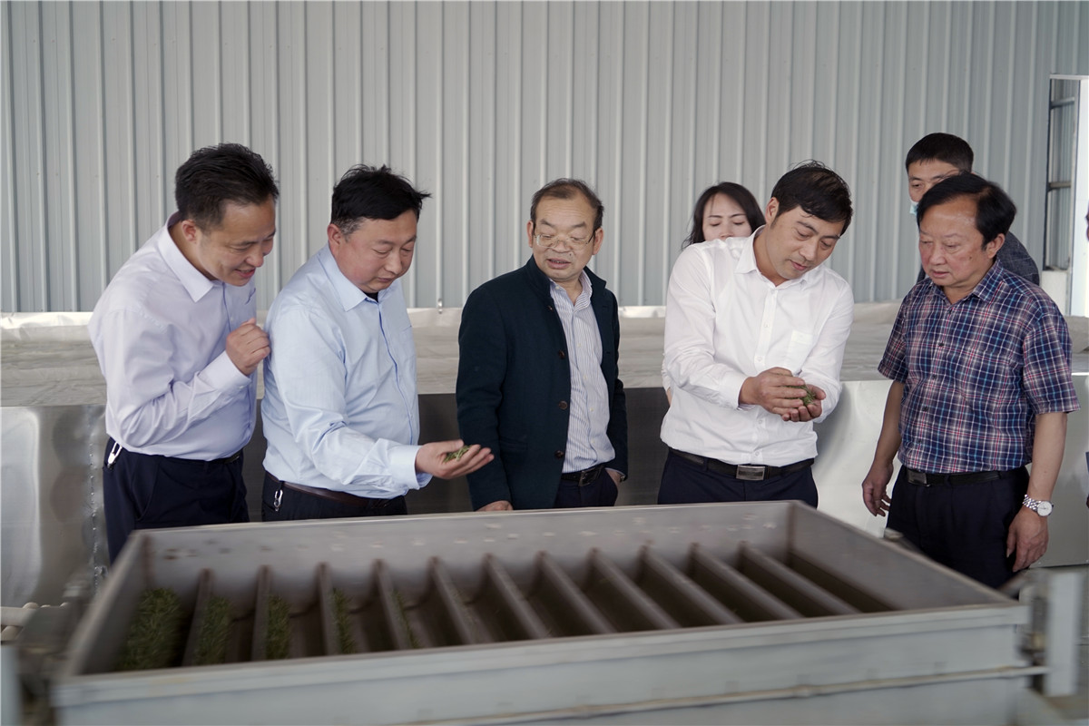 平昌富硒茶发展概况（平昌县茶果产业发展局）-硒宝网