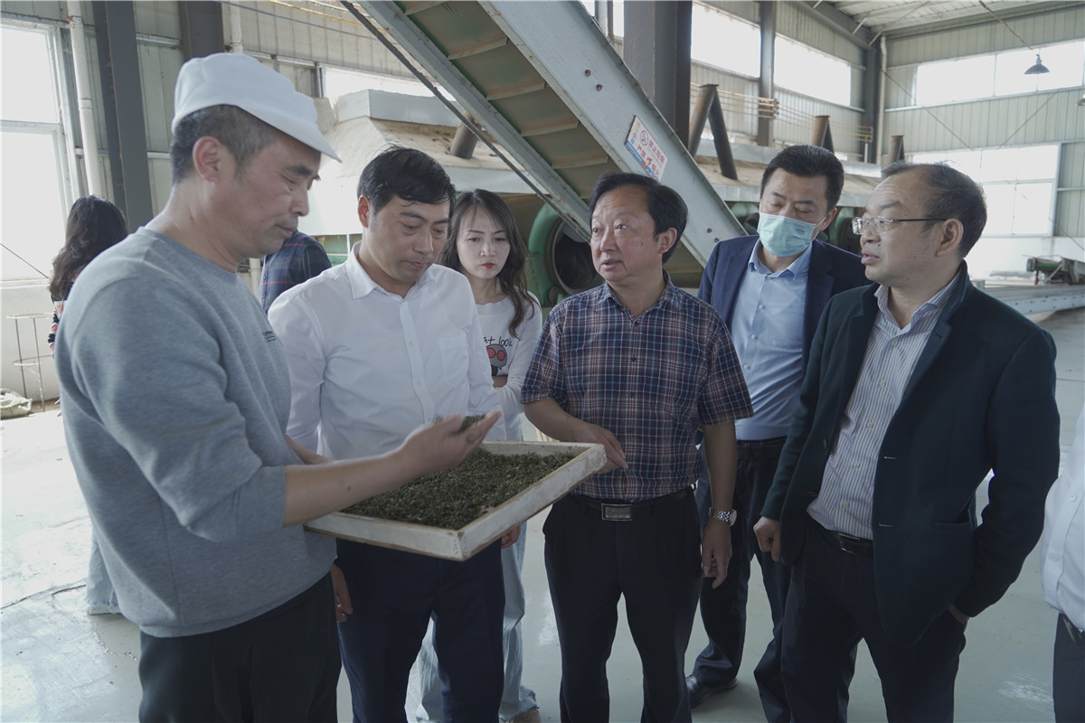 平昌富硒茶发展概况（平昌县茶果产业发展局）-硒宝网