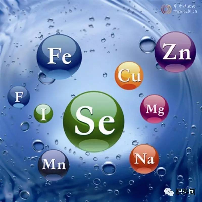 微量元素有什么（微量元素有哪几种）-硒宝网