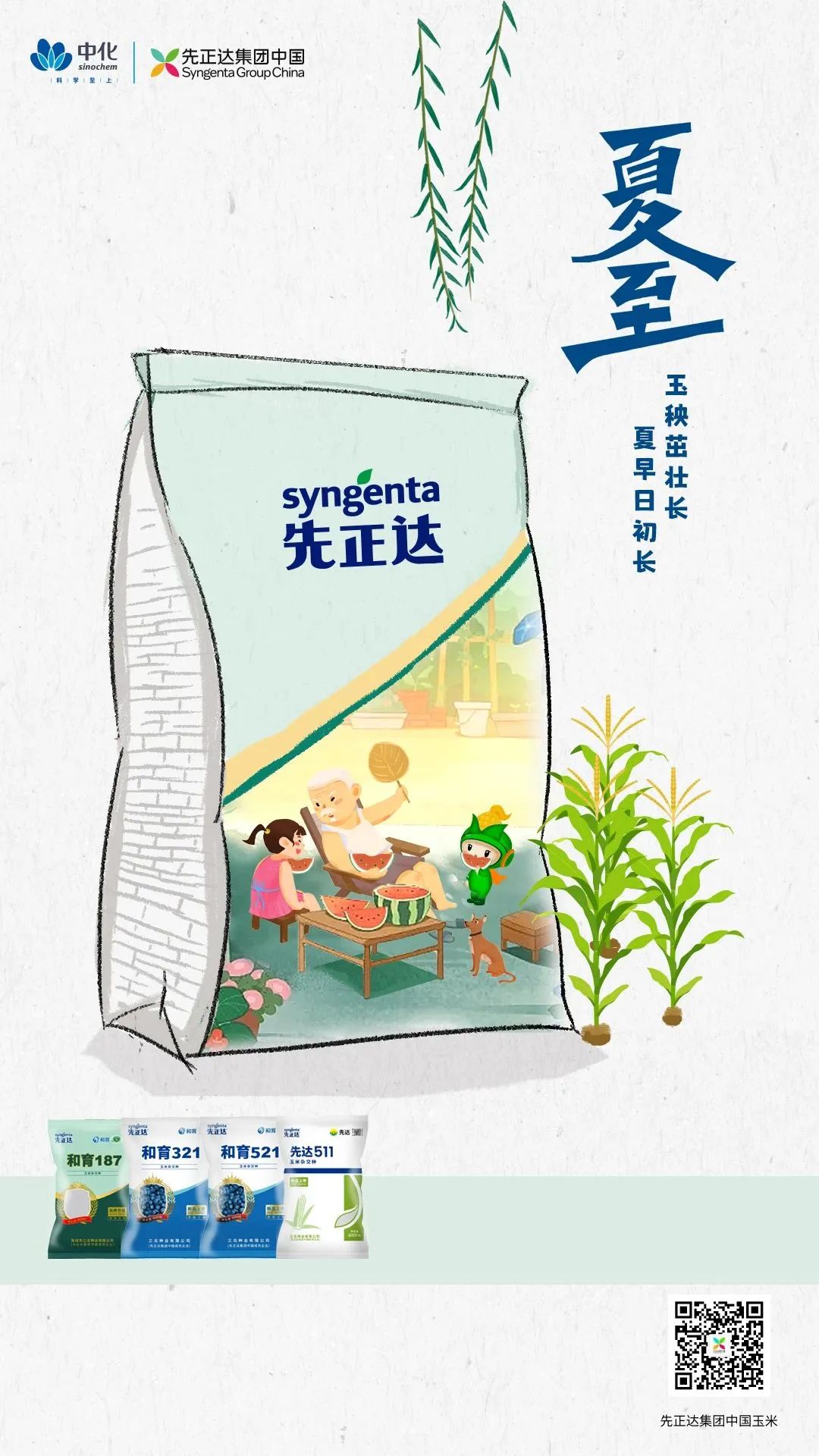 微量元素有什么（微量元素有什么作用）-硒宝网