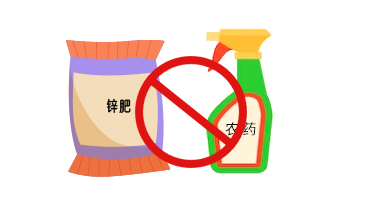 微量元素有什么（微量元素有什么作用）-硒宝网