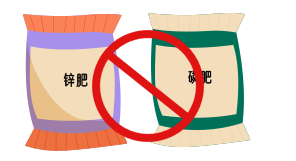 微量元素有什么（微量元素有什么作用）-硒宝网