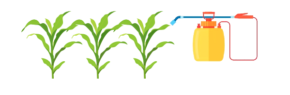 微量元素有什么（微量元素有什么作用）-硒宝网