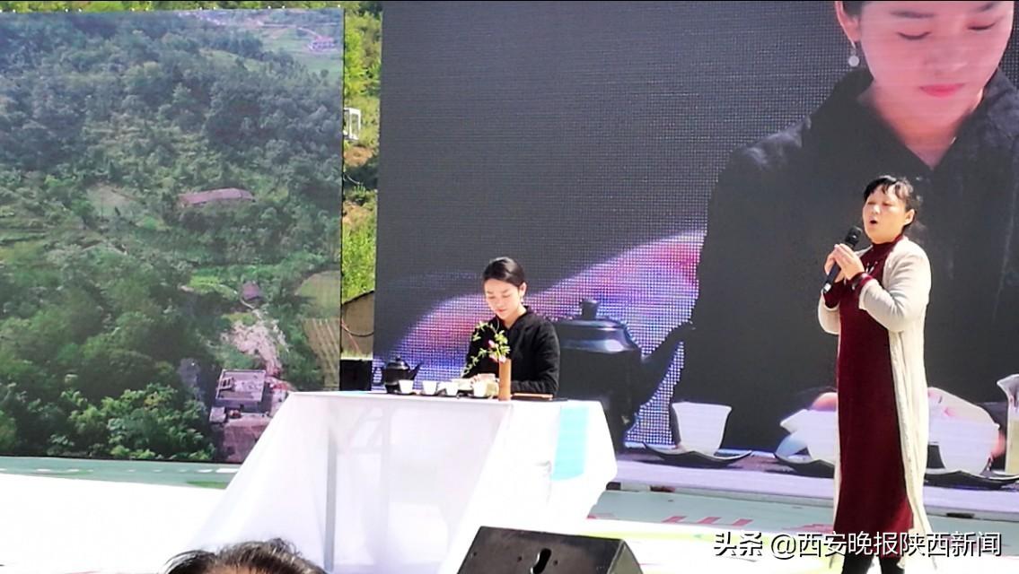 安康富硒茶扶贫活动(安康富硒资源普查)-硒宝网