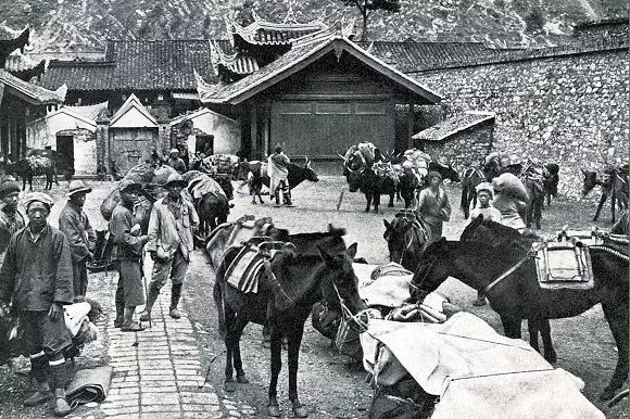 子午古道紫阳富硒茶(紫阳富硒茶的特点简介)-硒宝网