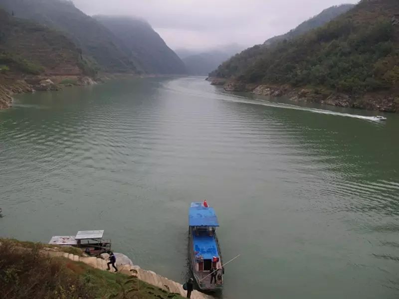 子午古道紫阳富硒茶(紫阳富硒茶的特点简介)-硒宝网