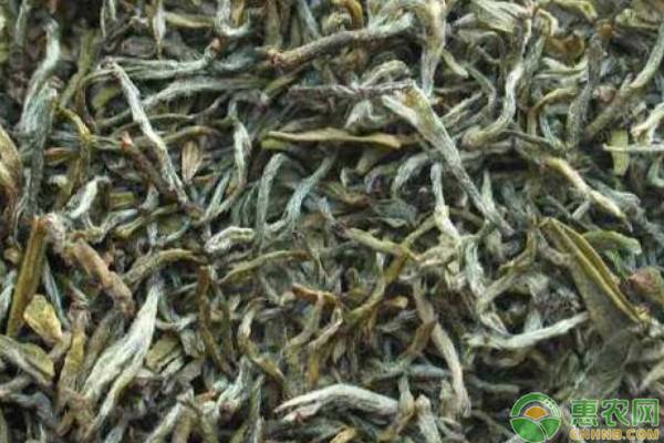 浙江恩施富硒茶价格(恩施富硒茶厂)-硒宝网