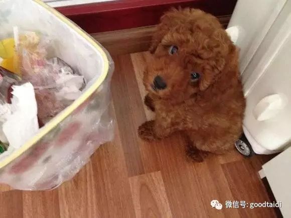 微量元素有什么（微量元素有哪些）-硒宝网