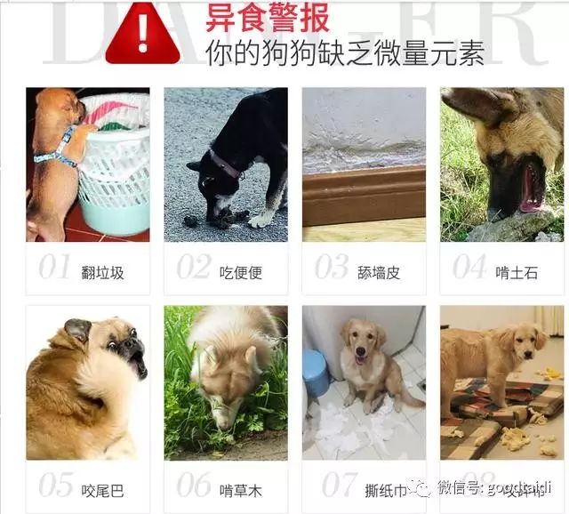 微量元素有什么（微量元素有哪些）-硒宝网