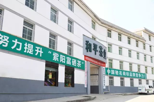 紫阳富硒茶宣传文章（紫阳富硒茶宣传语）-硒宝网