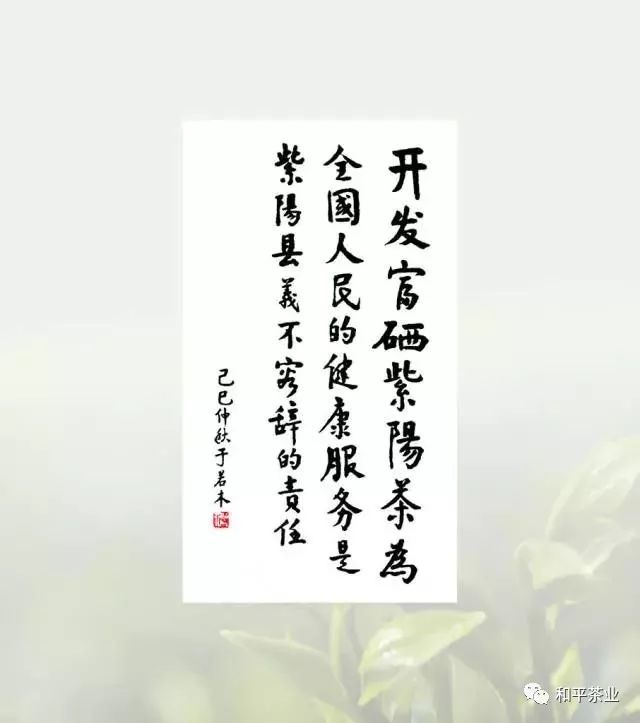 紫阳富硒茶宣传文章（紫阳富硒茶宣传语）-硒宝网