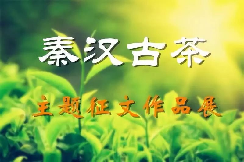 紫阳富硒茶现存问题(紫阳富硒茶核心产区)-硒宝网