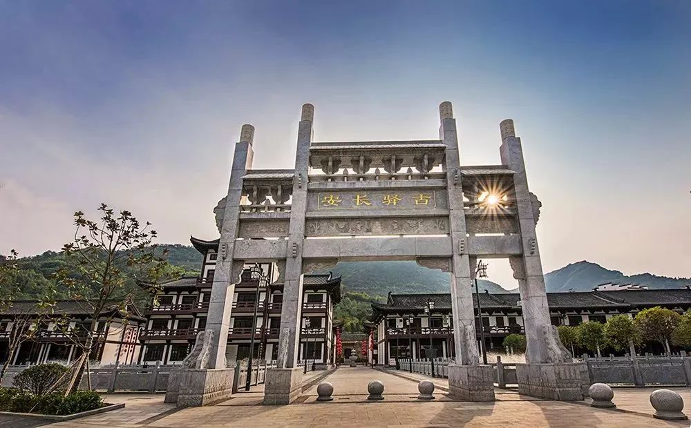 紫阳富硒茶现存问题(紫阳富硒茶核心产区)-硒宝网