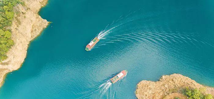 湖北恩施金果富硒茶（2019恩施富硒茶）-硒宝网