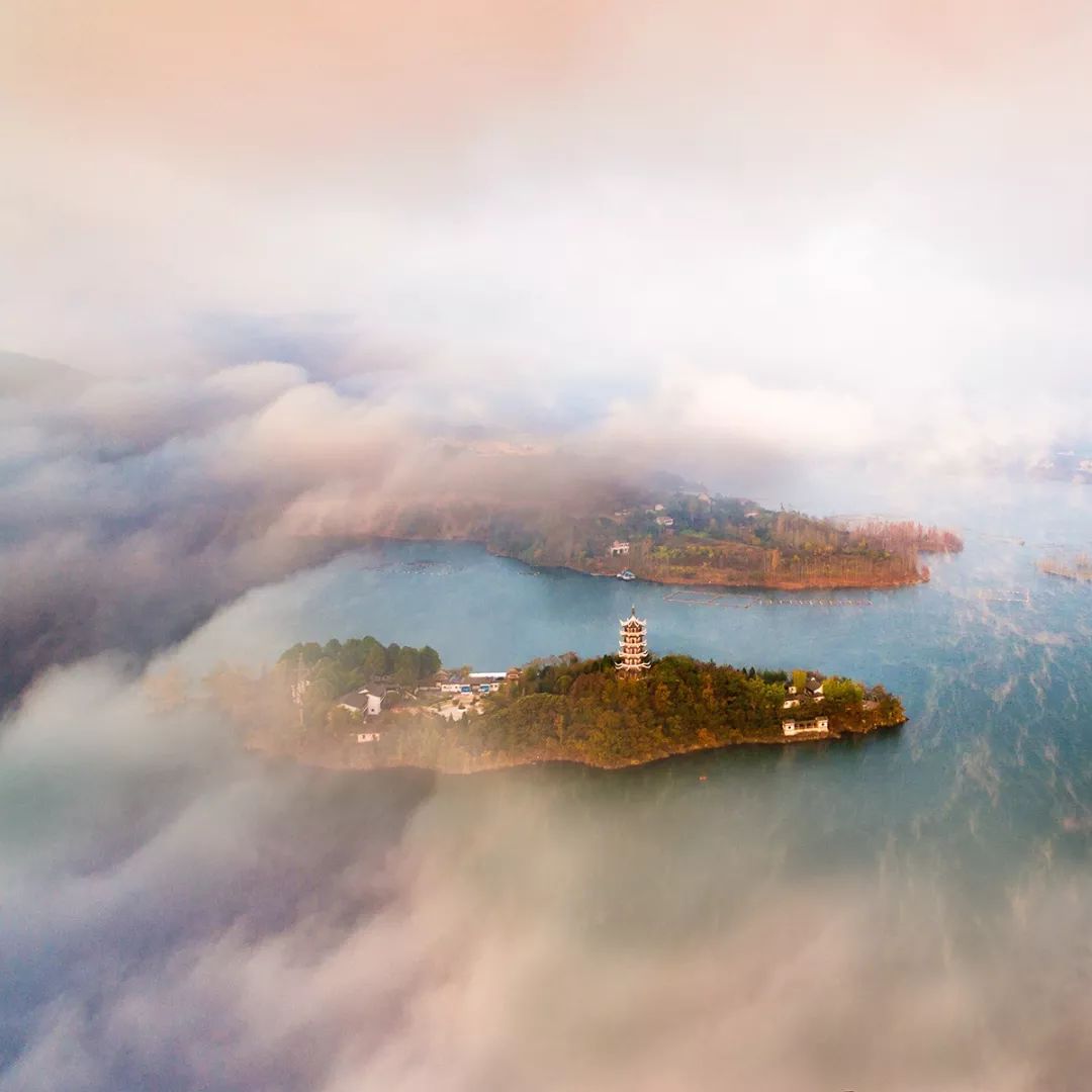 紫阳富硒茶现存问题(紫阳富硒茶叶的价格表)-硒宝网