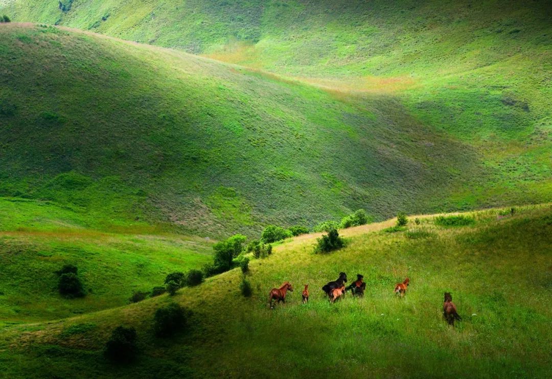 紫阳富硒茶现存问题(紫阳富硒茶叶的价格表)-硒宝网