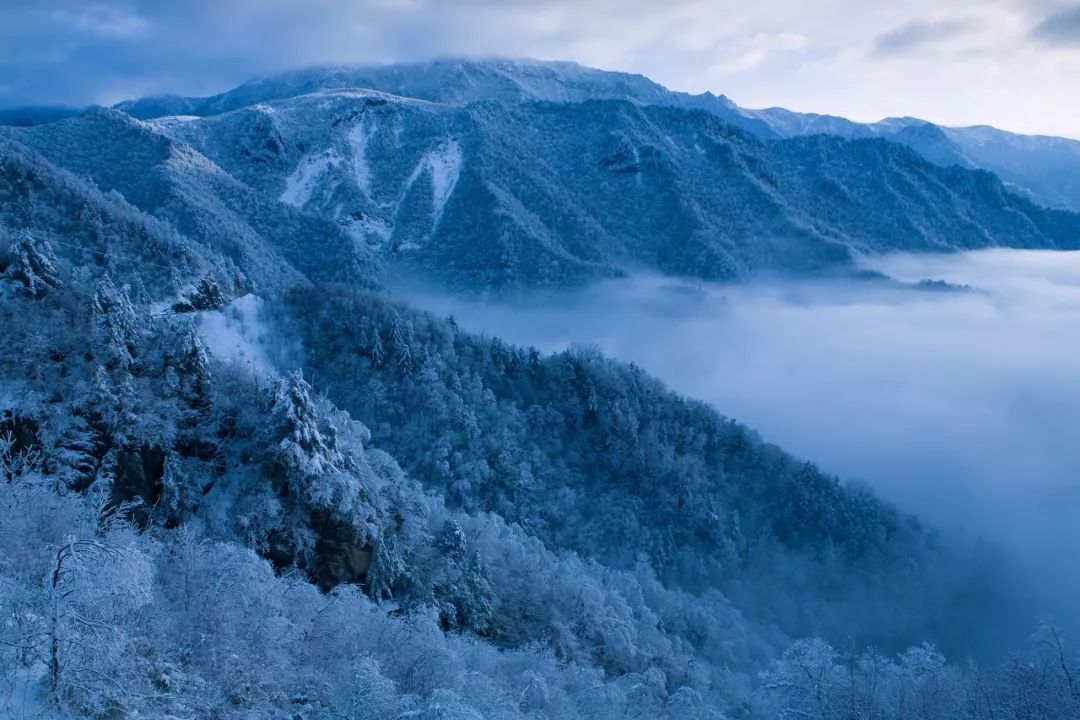 紫阳富硒茶现存问题(紫阳富硒茶叶的价格表)-硒宝网