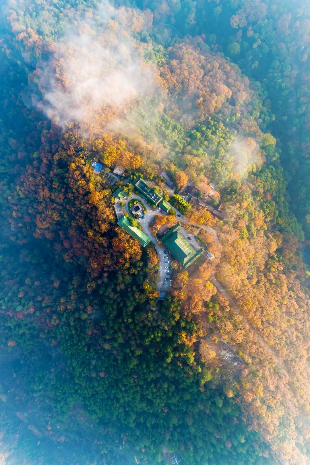 紫阳富硒茶现存问题(紫阳富硒茶叶的价格表)-硒宝网