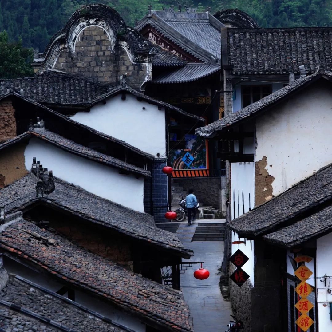 紫阳富硒茶现存问题(紫阳富硒茶叶的价格表)-硒宝网