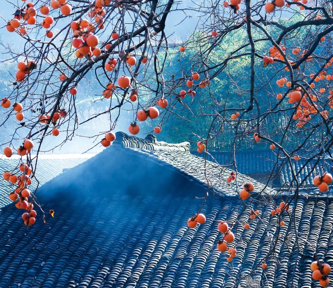 紫阳富硒茶现存问题(紫阳富硒茶叶的价格表)-硒宝网