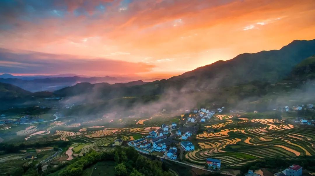 紫阳富硒茶现存问题(紫阳富硒茶叶的价格表)-硒宝网