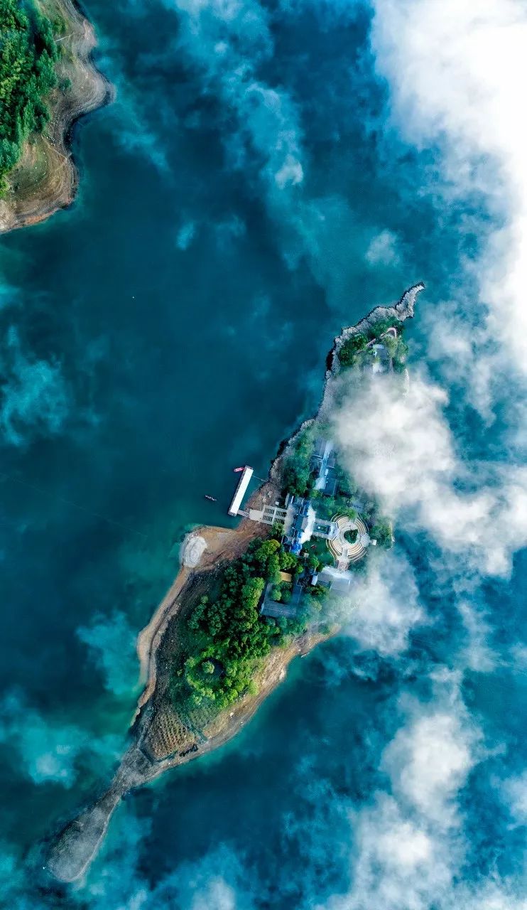 紫阳富硒茶现存问题(紫阳富硒茶叶的价格表)-硒宝网