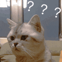 男孩补锌的最佳时间(男孩补锌的最佳年龄是多大)-硒宝网