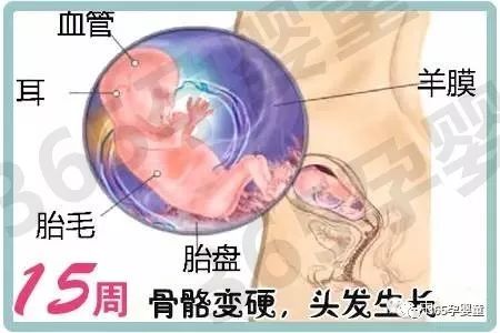 男孩补锌的最佳时间(男孩最佳补锌时间是多久)-硒宝网