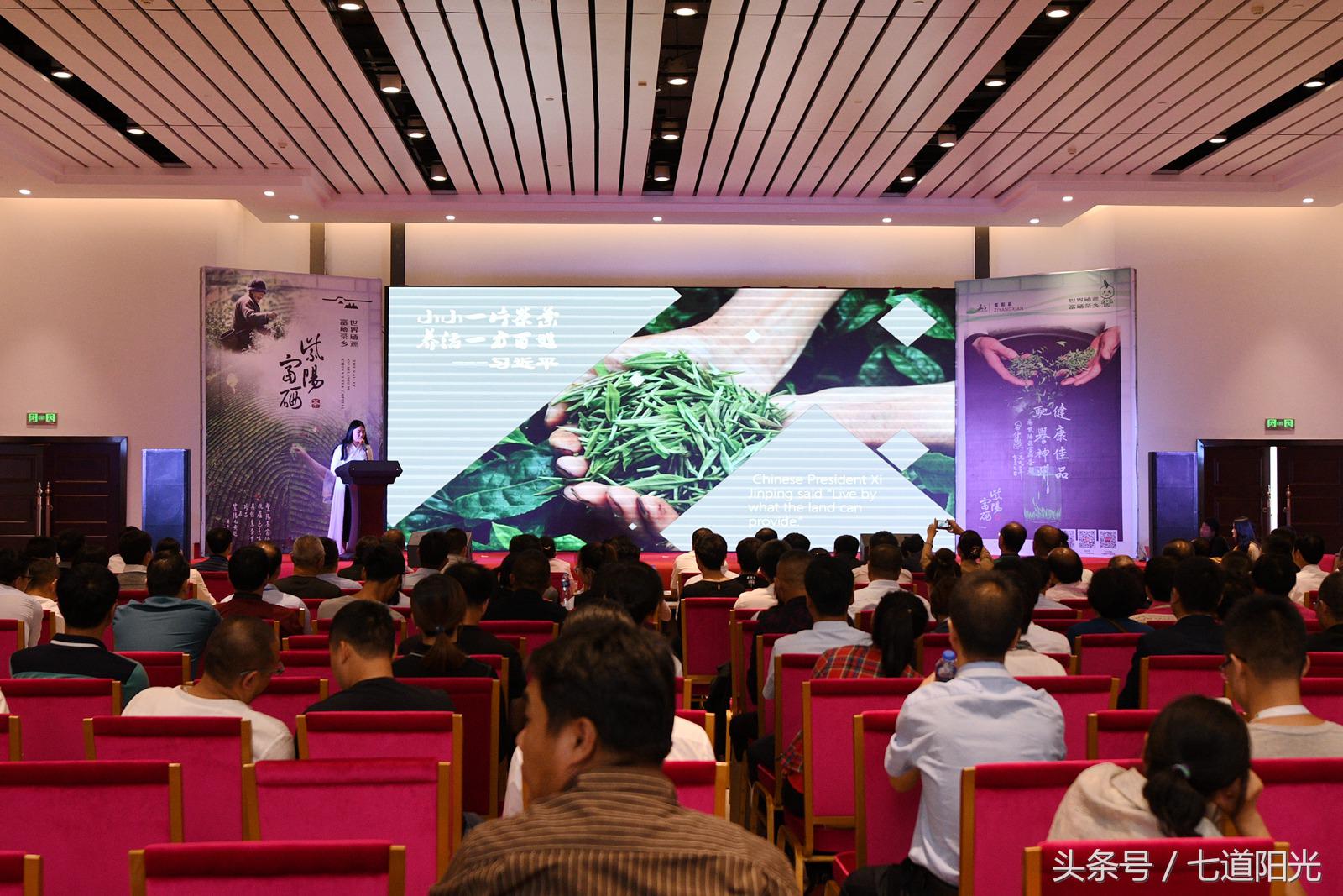 陕西紫阳富硒茶冲泡(紫阳富硒茶的泡法及水温)-硒宝网