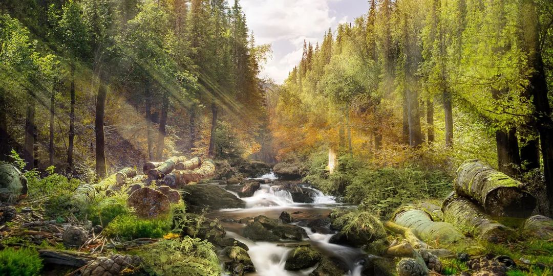 恩施富硒茶讲解视频(恩施富硒茶500克价格)-硒宝网