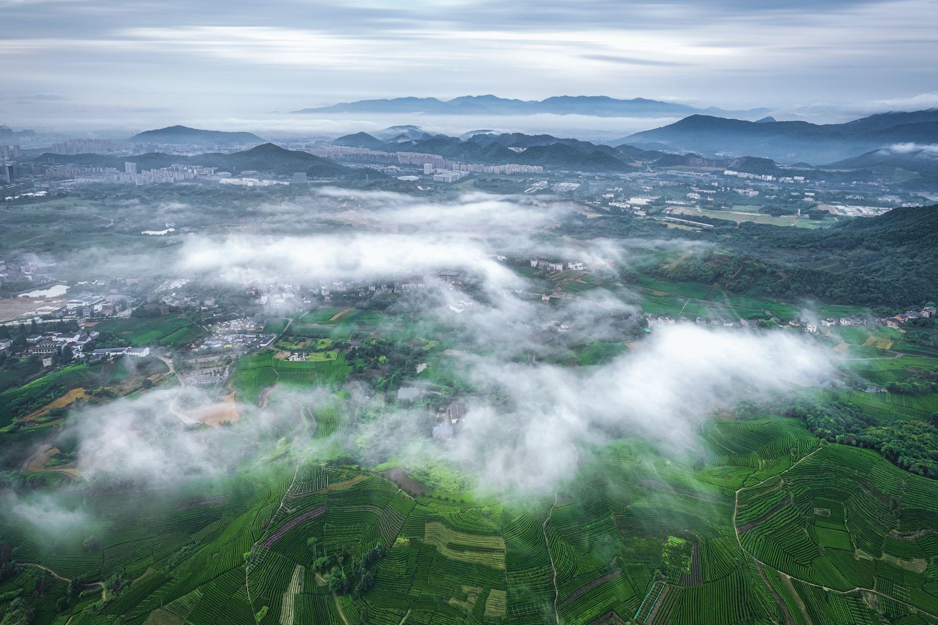 恩施富硒茶产量如何(湖北恩施富硒茶产地)-硒宝网