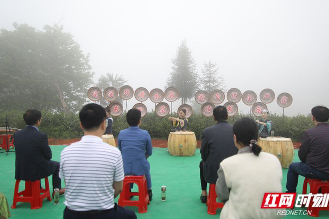 云南富硒有机黄金茶(云南黄金茶多少钱一斤)-硒宝网