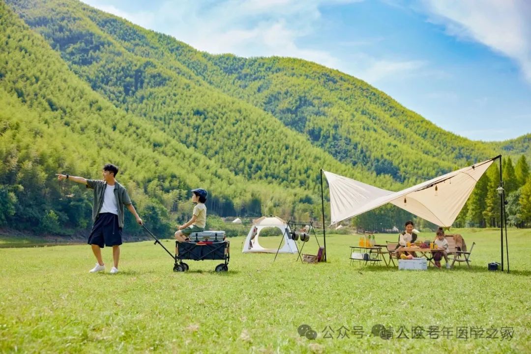 西兰花补铁吗(兰花缺铁)-硒宝网