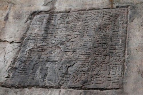 陕西紫阳富硒茶冲泡(紫阳富硒茶冲泡方法)-硒宝网