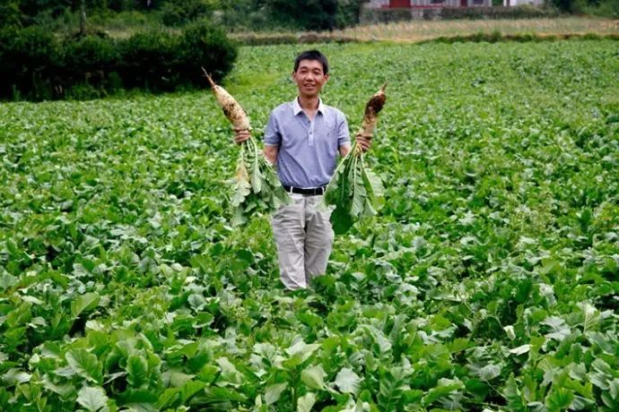 安徽富硒茶玉露企业（恩施富硒茶玉露）-硒宝网