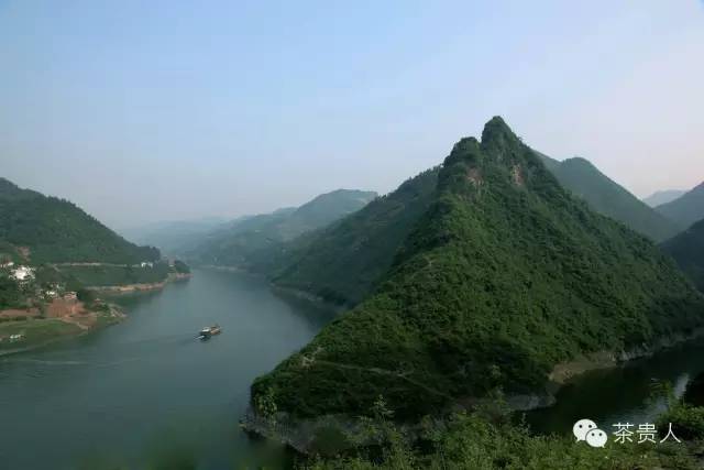 紫阳富硒茶唐代贡品(紫阳富硒茶故事)-硒宝网