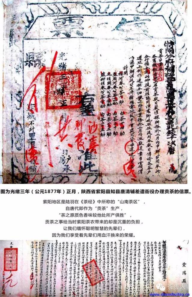 紫阳富硒茶唐代贡品(紫阳富硒茶故事)-硒宝网