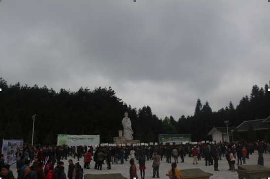 湛江富硒有机茶代理（湛江代理茶机富硒有哪些品牌）-硒宝网