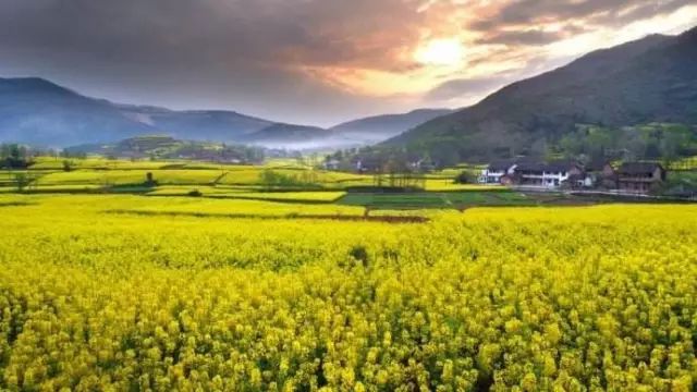 秦巴神韵安康富硒茶（安康富硒茶礼盒）-硒宝网