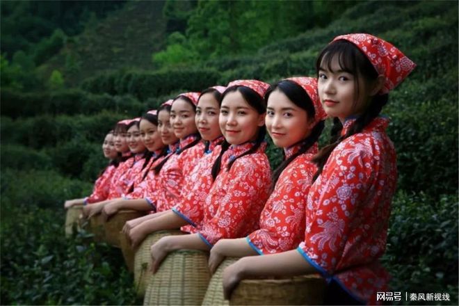 安康紫阳富硒茶基地（安康特产紫阳茶）-硒宝网