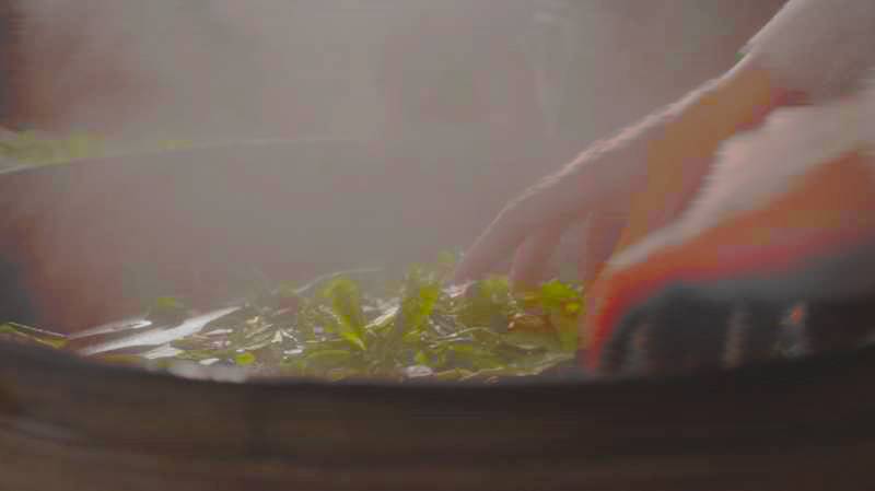 恩施富硒茶营养特点（恩施富硒茶的功效与作用）-硒宝网