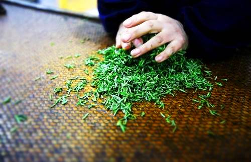 恩施富硒茶营养特点（恩施富硒茶的功效与作用）-硒宝网