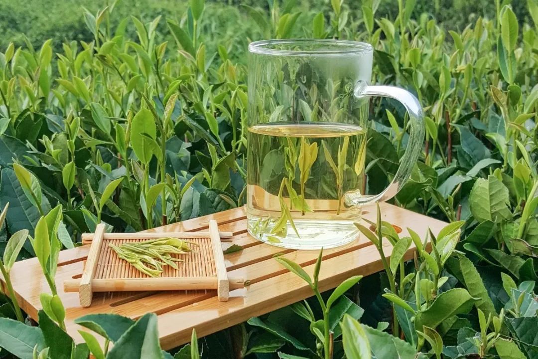 恩施富硒茶营养特点(恩施富硒茶是绿茶吗)-硒宝网