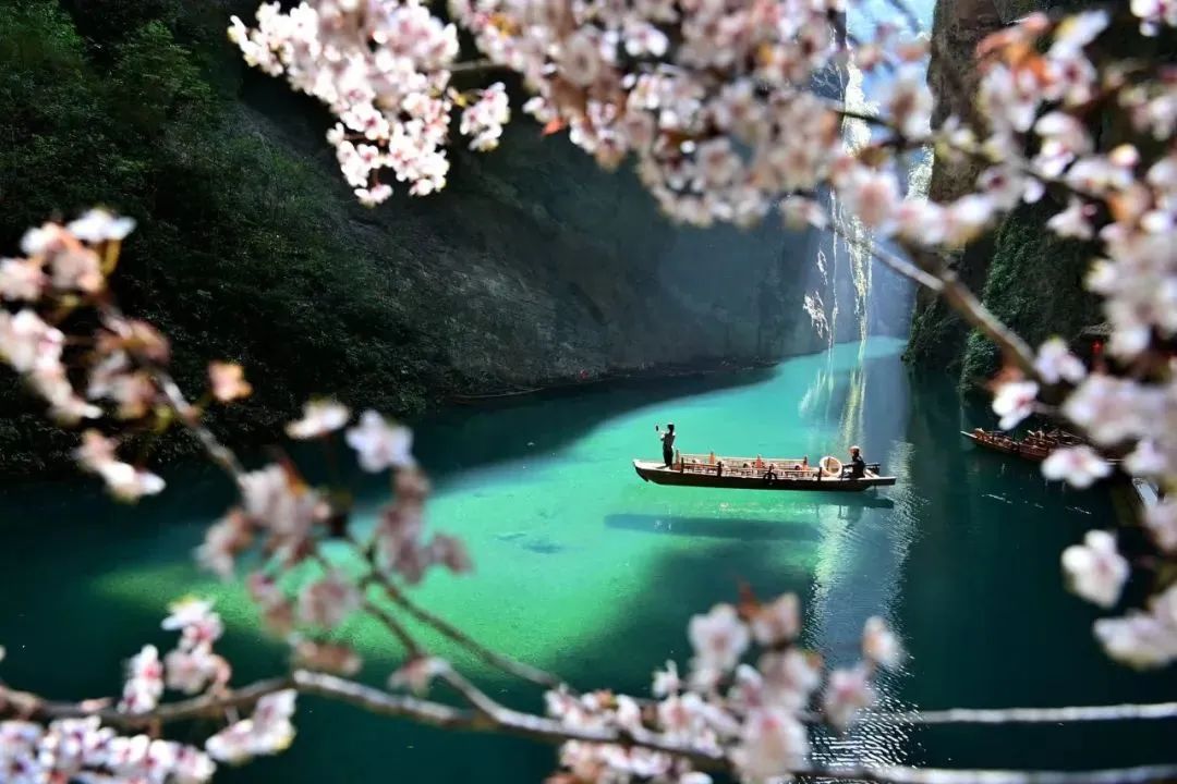 恩施富硒茶营养特点(恩施富硒茶是绿茶吗)-硒宝网