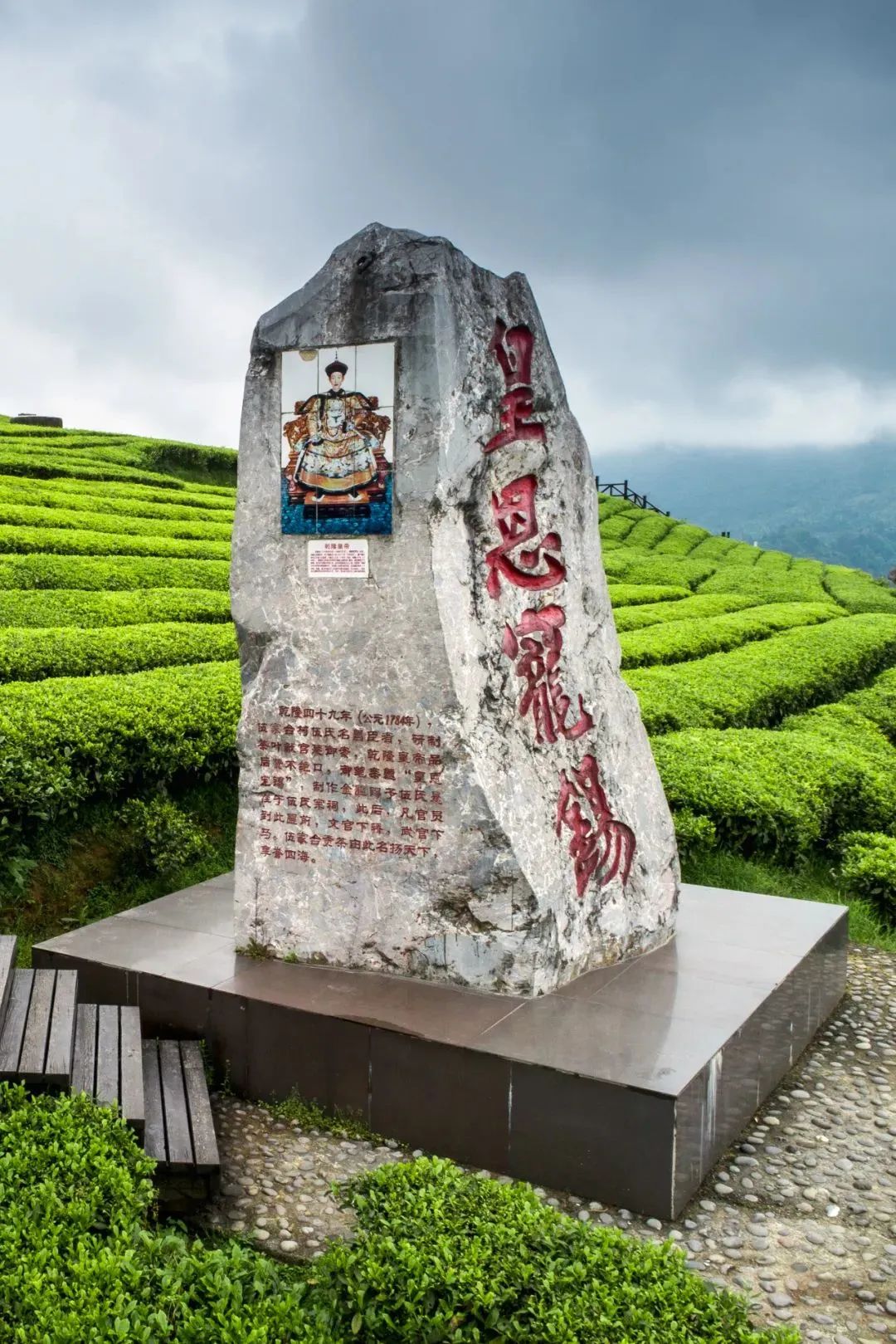 恩施富硒茶营养特点(恩施富硒茶是绿茶吗)-硒宝网