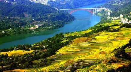 恩施富硒茶营养特点（恩施富硒茶文化的内涵有）-硒宝网