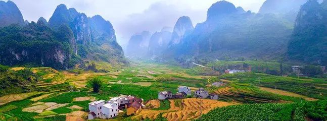 恩施富硒茶营养特点（恩施富硒茶文化的内涵有）-硒宝网